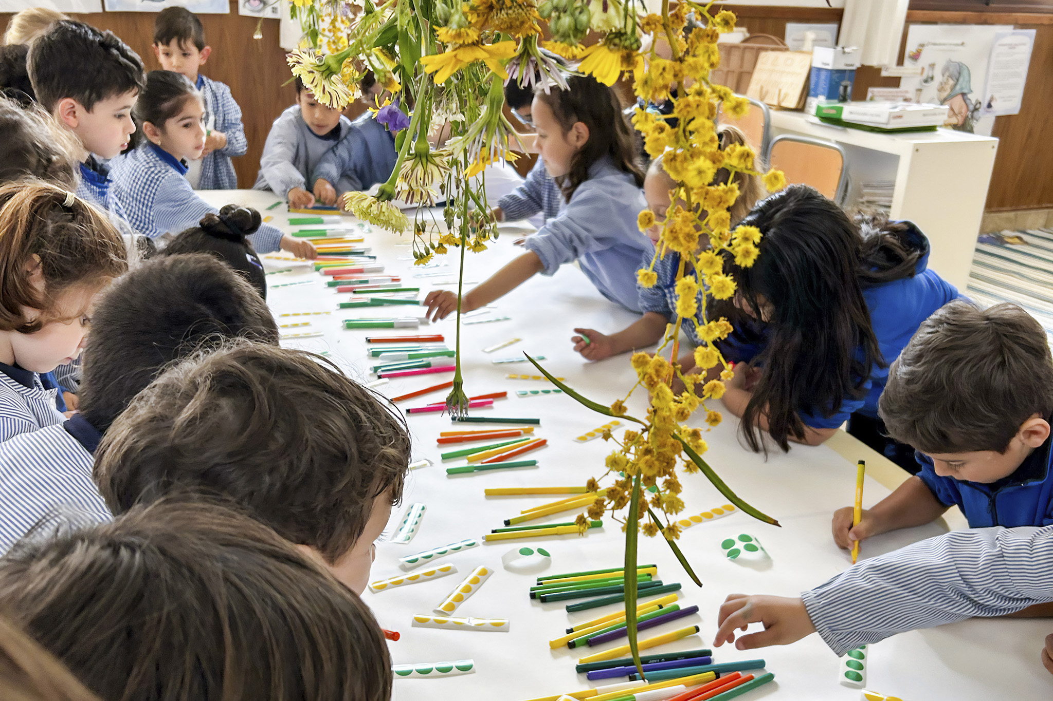 Etapes educatives infantil