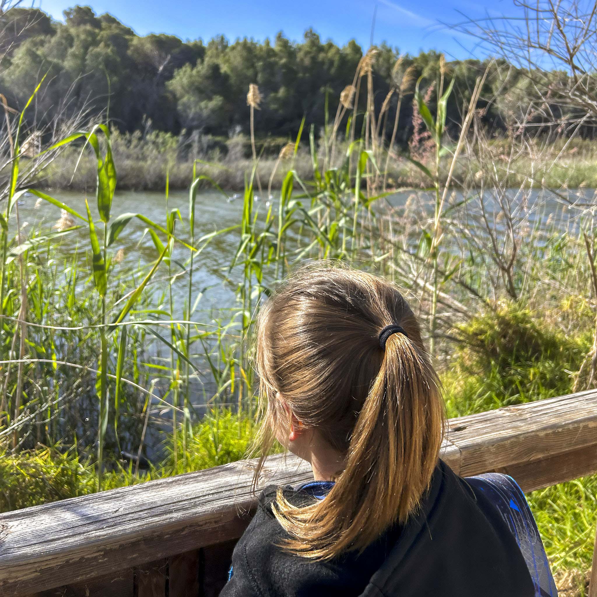 Una alumna de primària del col·legi concertat Beata Francinaina Cirer d'Inca (FECIB) observa la natura durant l'excursió al Parc Natural de Llevant.