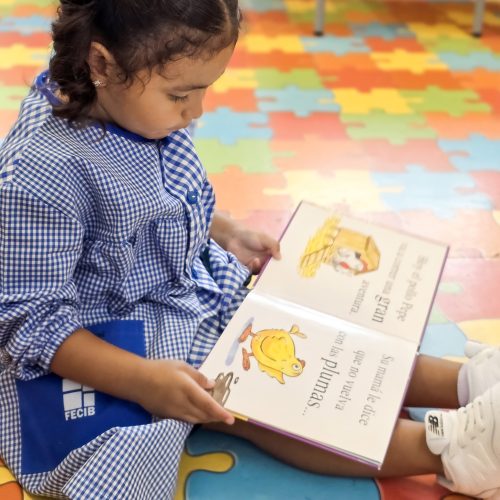 El període d’adaptació