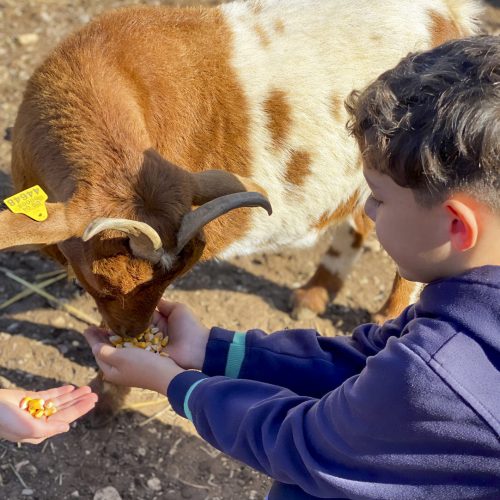 Es Molí d’en Joan Bea