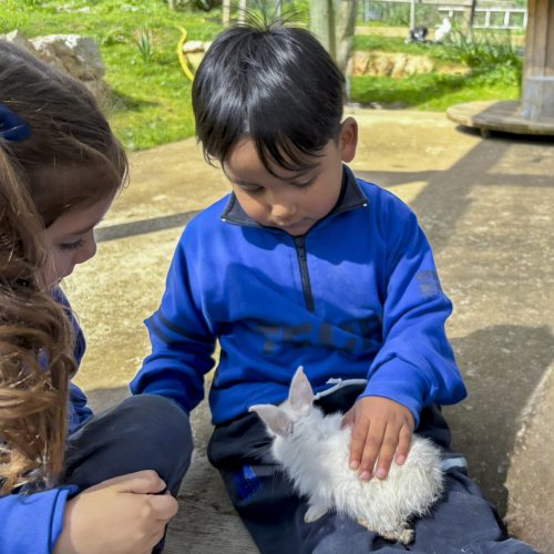 Aventura a s’Olivaret