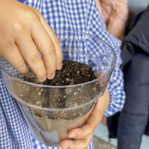 Un camí de creixement interior: vivim Quaresma a l’escola