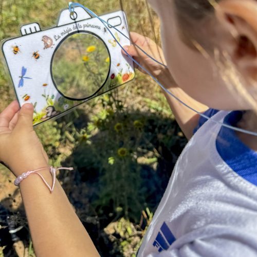 Els alumnes d'educació infantil del col·legi concertat Beata Francinaina Cirer d'Inca (FECIB) recullen flors i observen la natura durant l'activitat La màgia de la primavera.