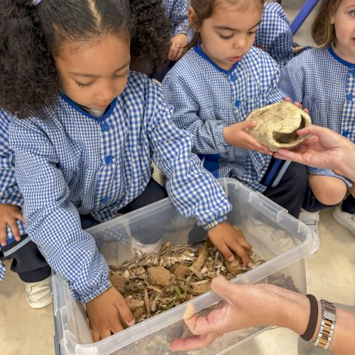 Els alumnes del col·legi concertat Beata Francinaina Cirer d'Inca (FECIB) participen en jocs i dinàmiques relacionades amb el reciclatge i la cura del medi ambient.